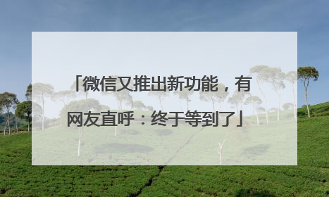 微信又推出新功能，有网友直呼：终于等到了
